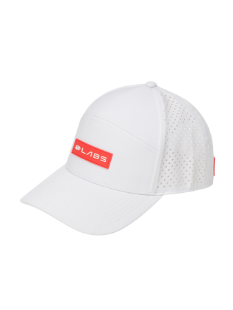LABS Flat Bill Snapback Hat